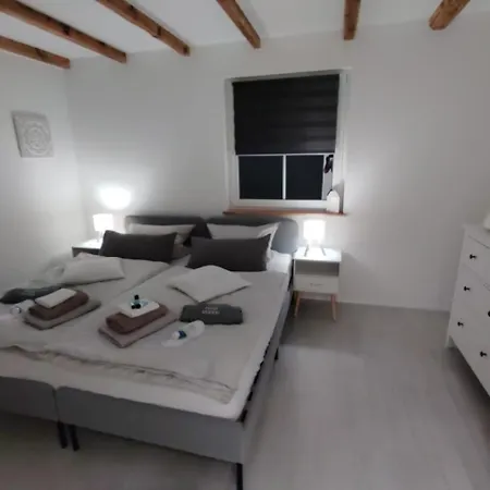 Marion שטיינהאגן